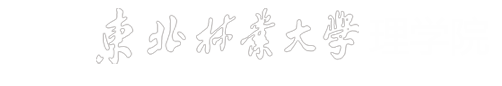 2026年国际足联世界杯